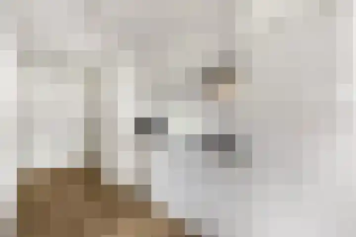 Dwarsweg 3 r 318 Overberg thumbnail 11
