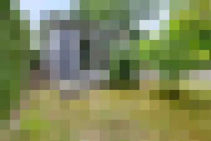 Dwarsweg 3 r 318 Overberg thumbnail 20