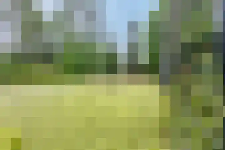 Dwarsweg 3 r 318 Overberg thumbnail 24