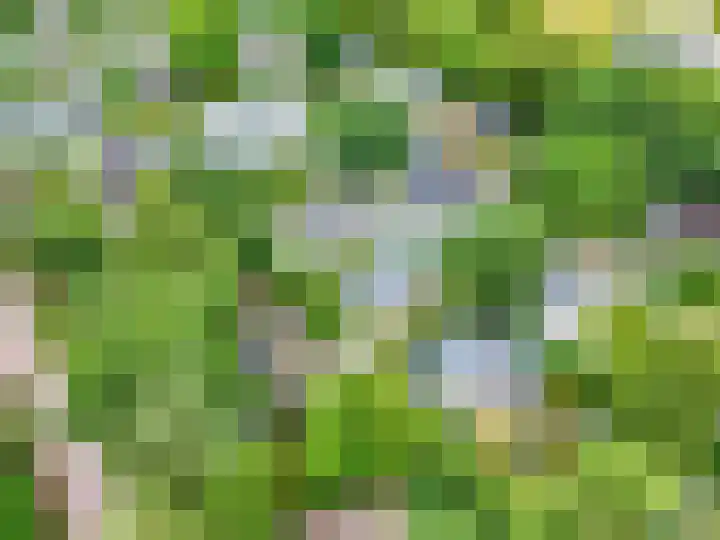 Dwarsweg 3 r 318 Overberg thumbnail 25