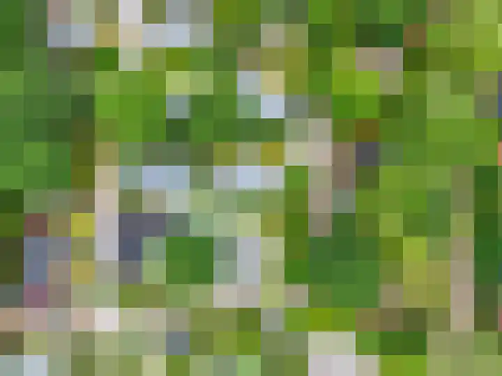 Dwarsweg 3 r 318 Overberg thumbnail 27