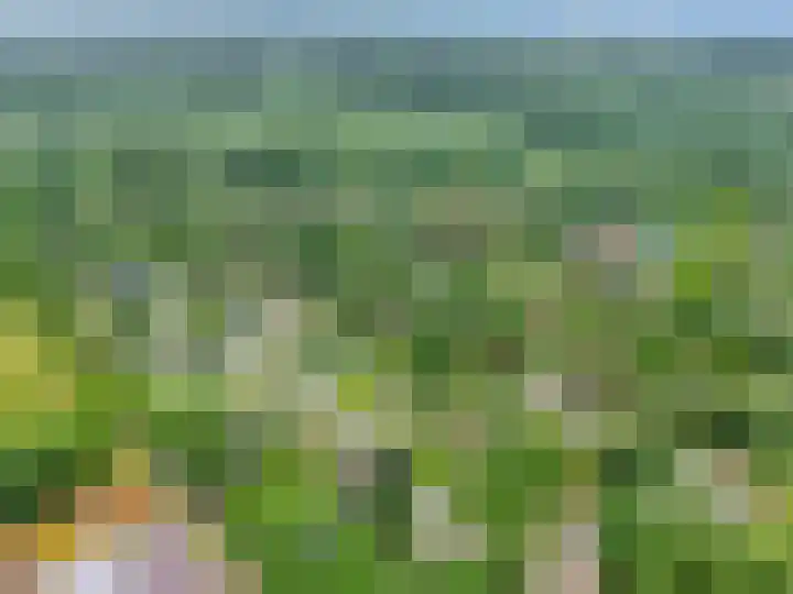 Dwarsweg 3 r 318 Overberg thumbnail 28