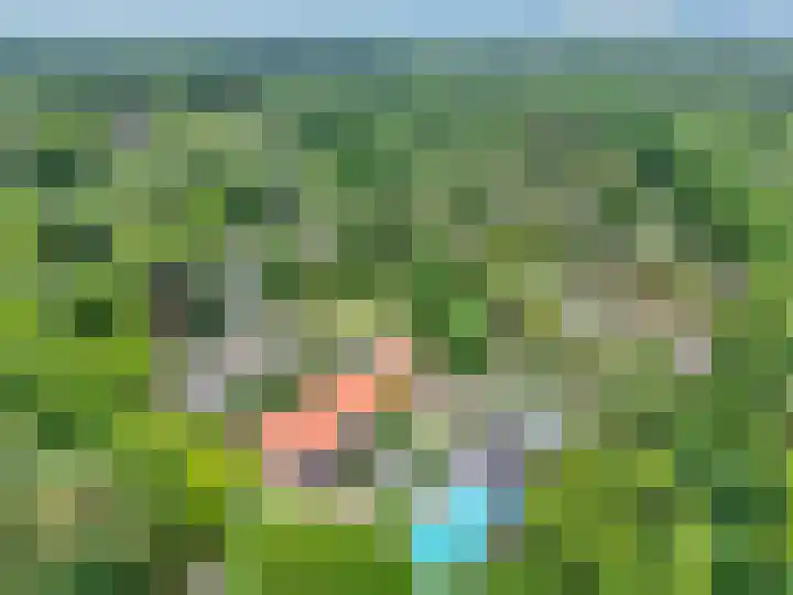 Dwarsweg 3 r 318 Overberg thumbnail 29