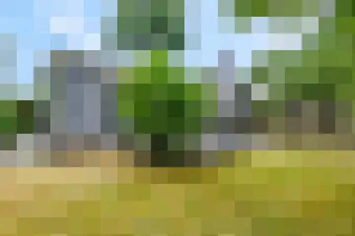 Dwarsweg 3 r 318 Overberg thumbnail 5