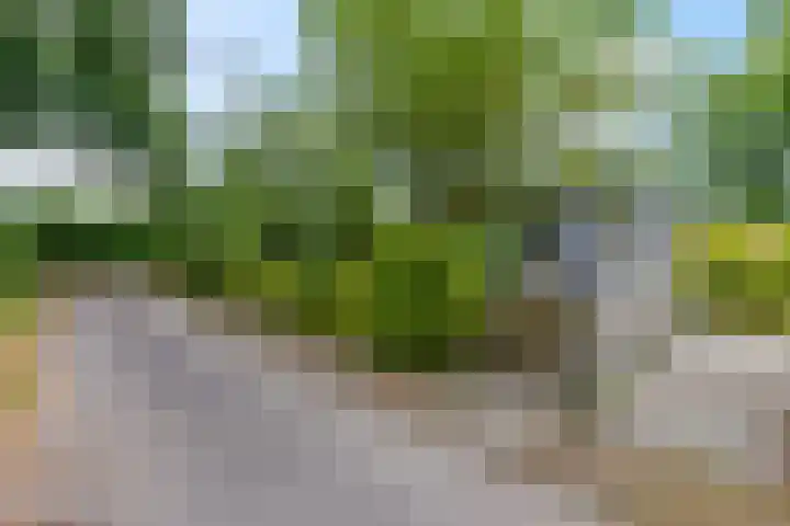 Dwarsweg 3 r 318 Overberg thumbnail 6