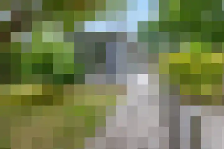 Dwarsweg 3 r 318 Overberg thumbnail 7