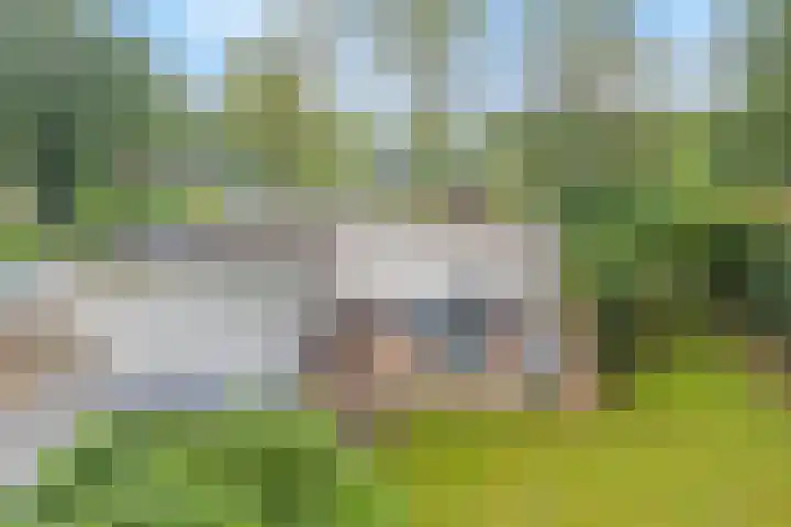 Dwarsweg 3 r 551 Overberg thumbnail 15