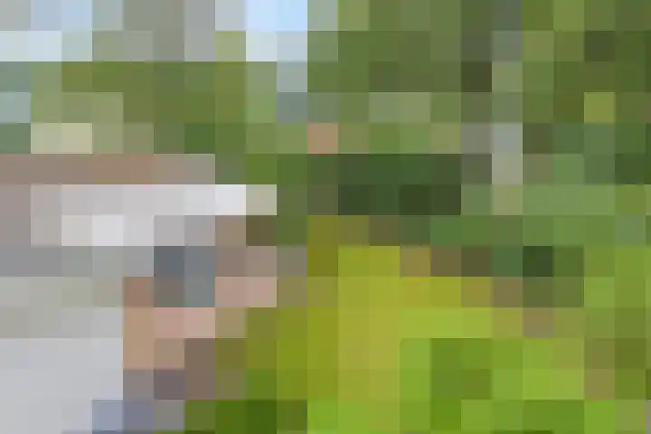 Dwarsweg 3 r 551 Overberg thumbnail 16
