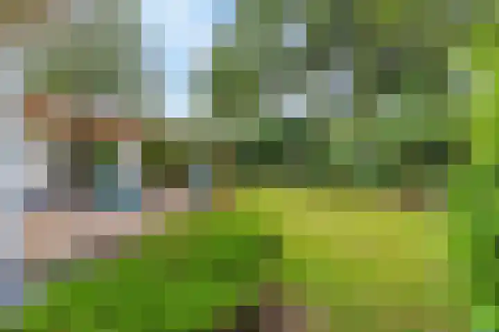 Dwarsweg 3 r 551 Overberg thumbnail 17