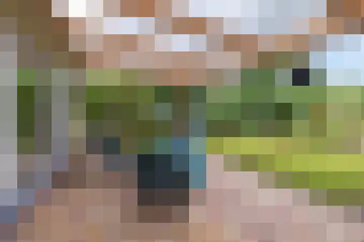 Dwarsweg 3 r 551 Overberg thumbnail 18