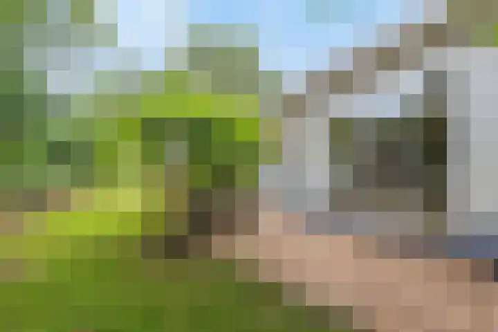 Dwarsweg 3 r 551 Overberg thumbnail 19