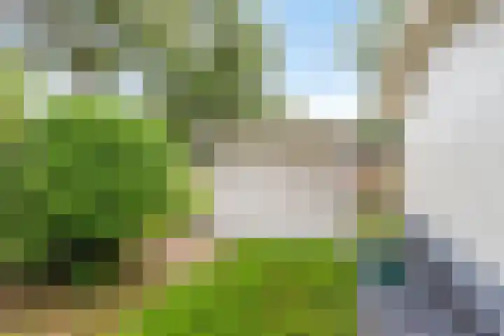 Dwarsweg 3 r 551 Overberg thumbnail 20