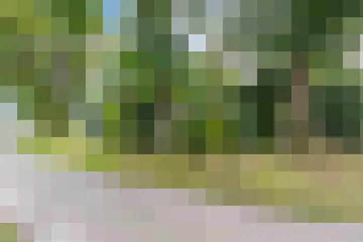 Dwarsweg 3 r 551 Overberg thumbnail 21