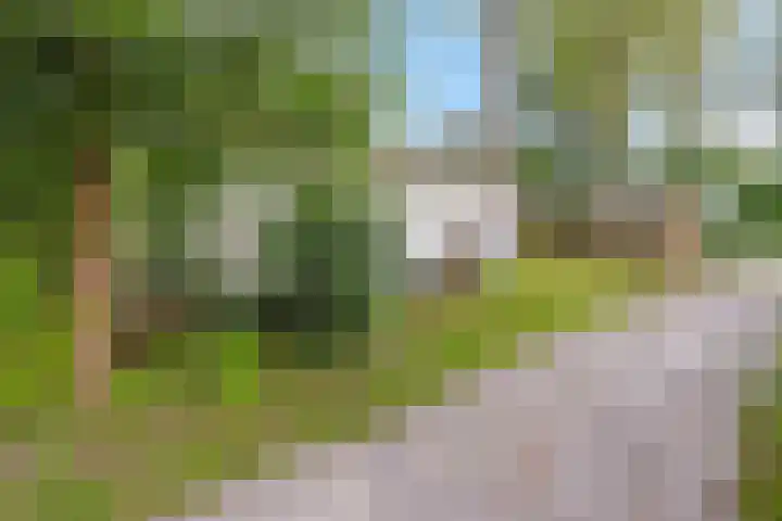 Dwarsweg 3 r 551 Overberg thumbnail 22