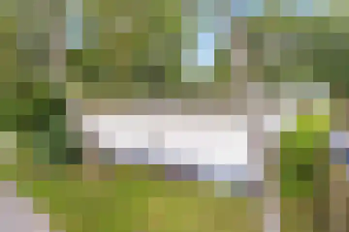 Dwarsweg 3 r 551 Overberg thumbnail 23