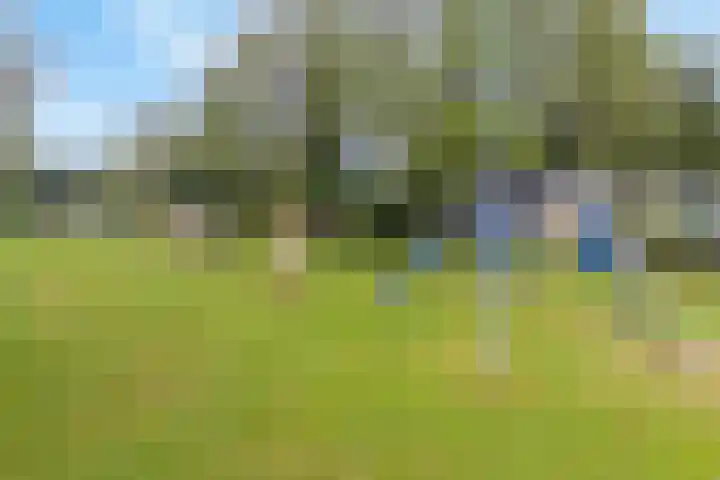 Dwarsweg 3 r 551 Overberg thumbnail 24