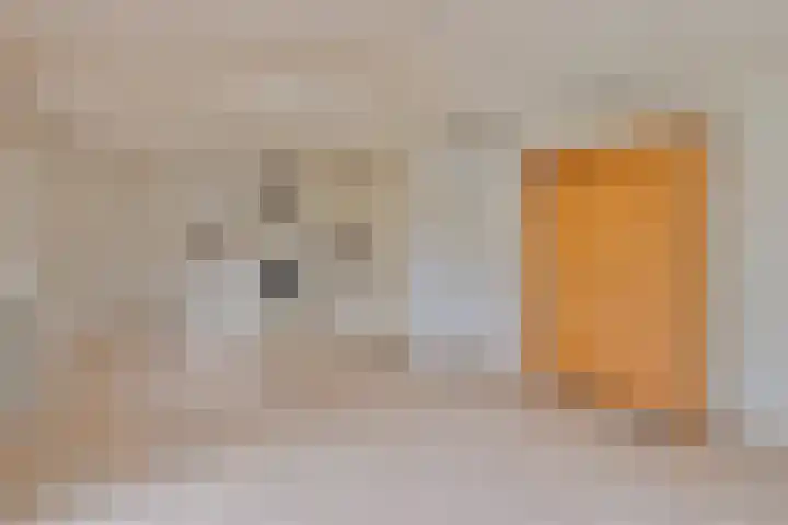 Dwarsweg 3 r 551 Overberg thumbnail 8