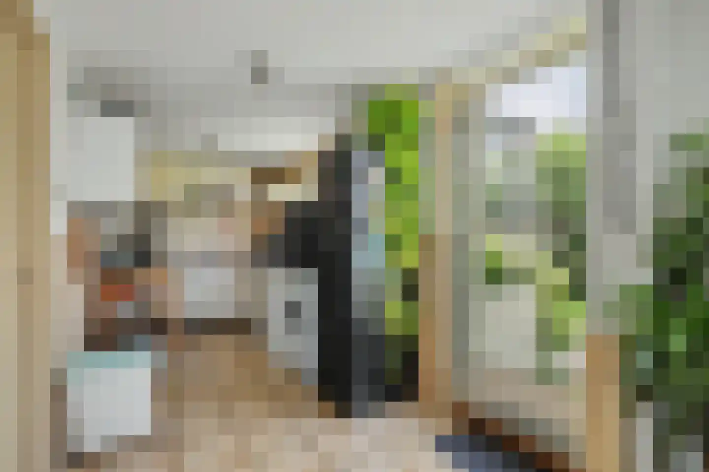 Dwarsweg 3 's-Heer Arendskerke thumbnail 12