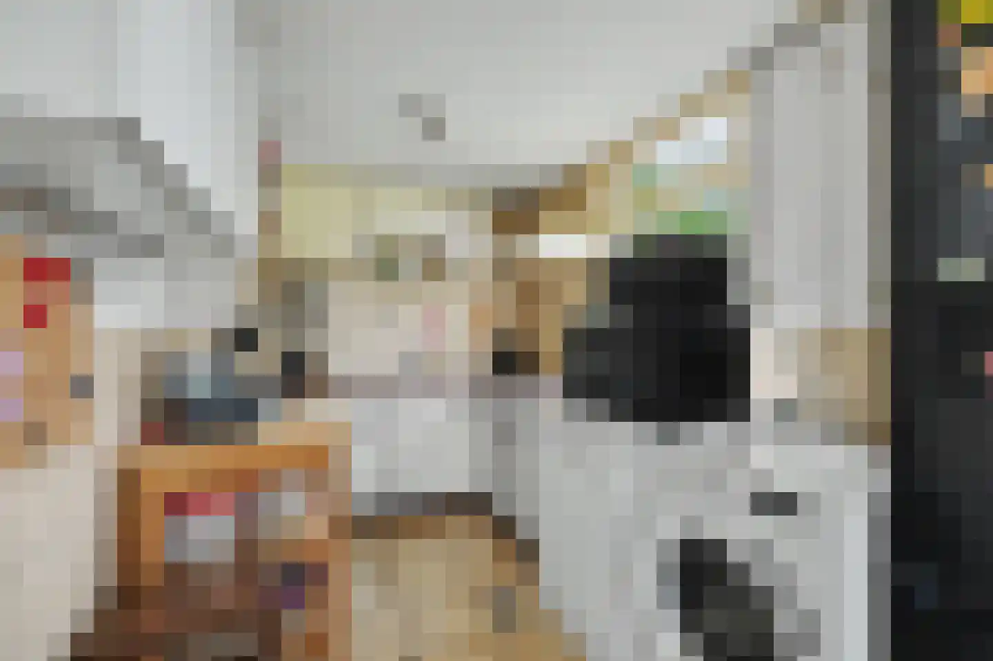 Dwarsweg 3 's-Heer Arendskerke thumbnail 13