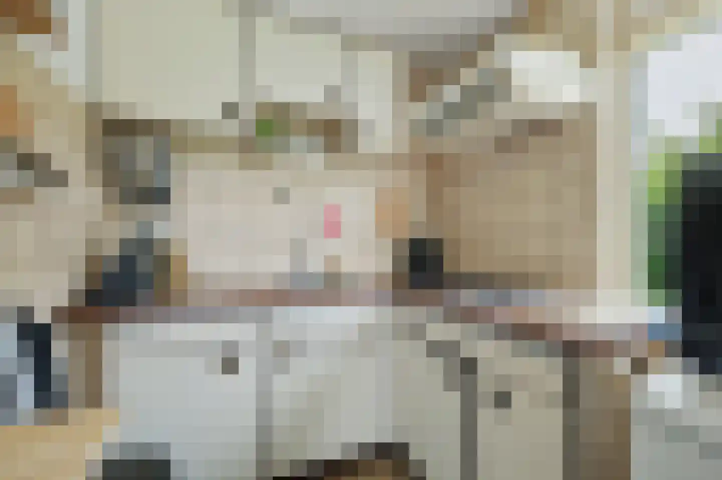 Dwarsweg 3 's-Heer Arendskerke thumbnail 14