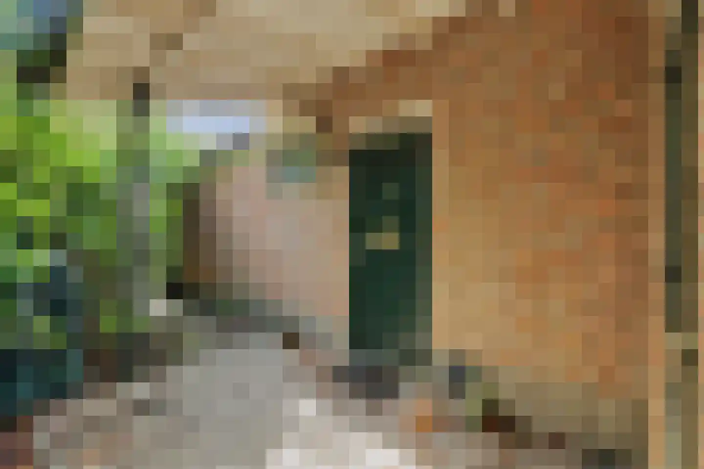 Dwarsweg 3 's-Heer Arendskerke thumbnail 28