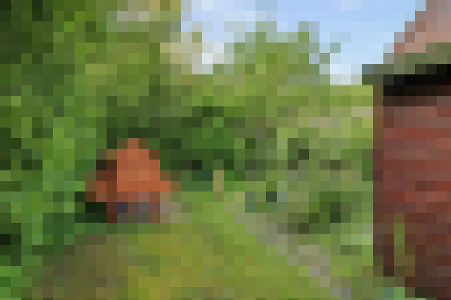 Dwarsweg 3 's-Heer Arendskerke thumbnail 33