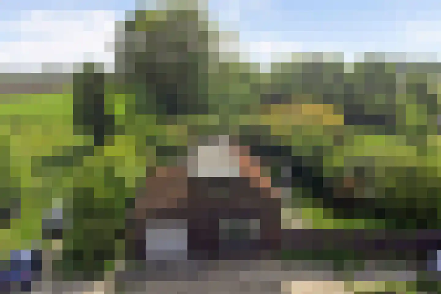 Dwarsweg 3 's-Heer Arendskerke thumbnail 35