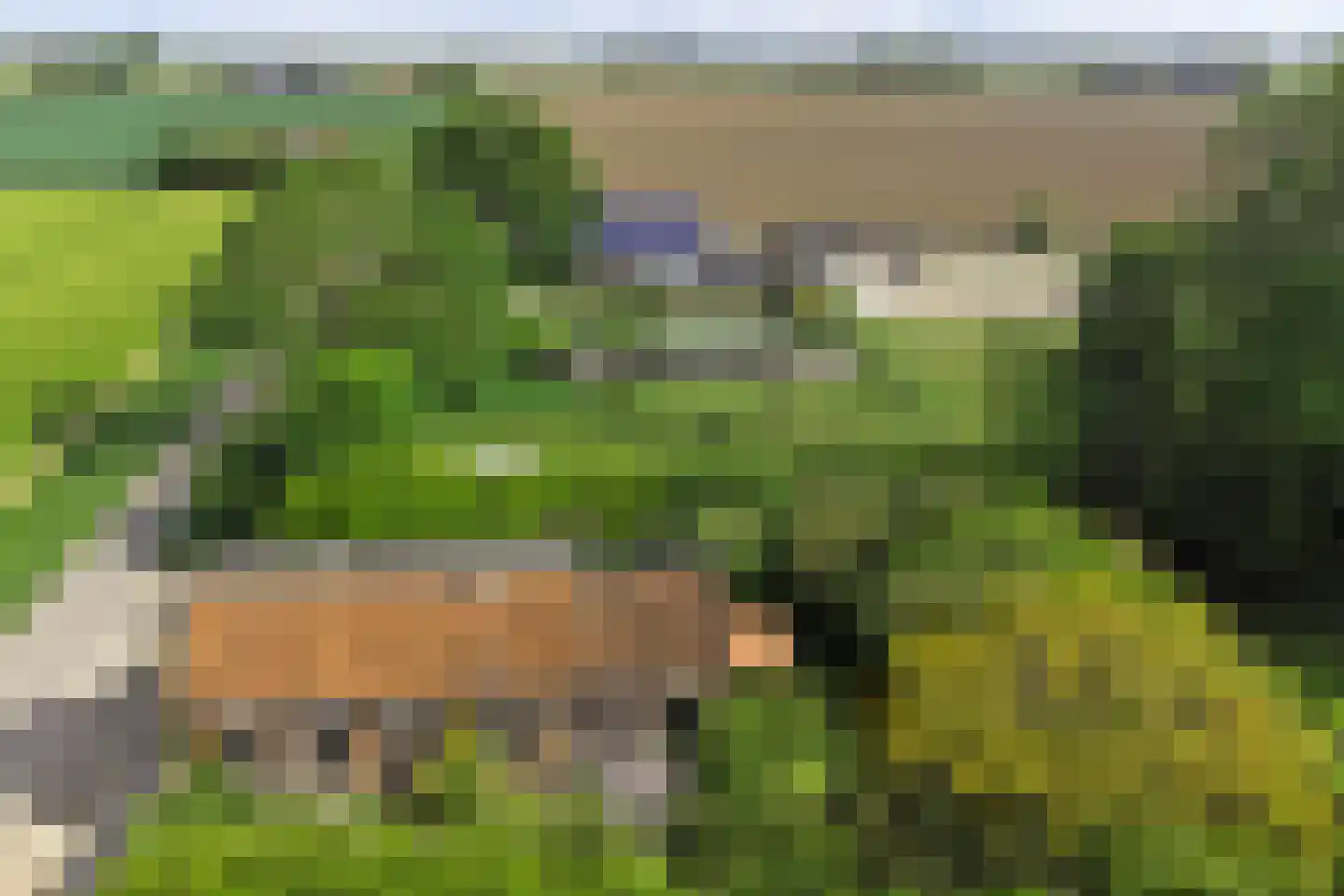 Dwarsweg 3 's-Heer Arendskerke thumbnail 39
