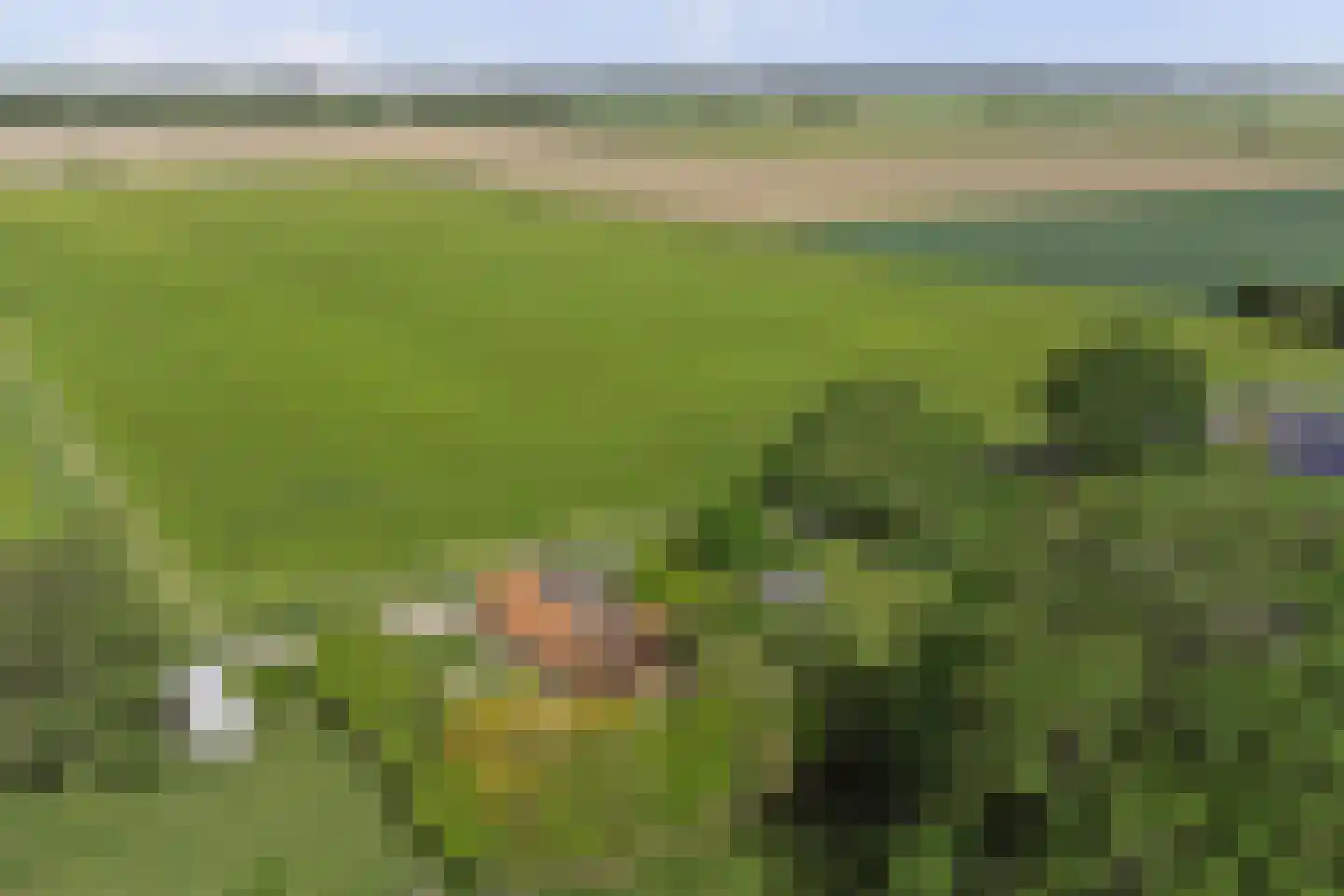 Dwarsweg 3 's-Heer Arendskerke thumbnail 41