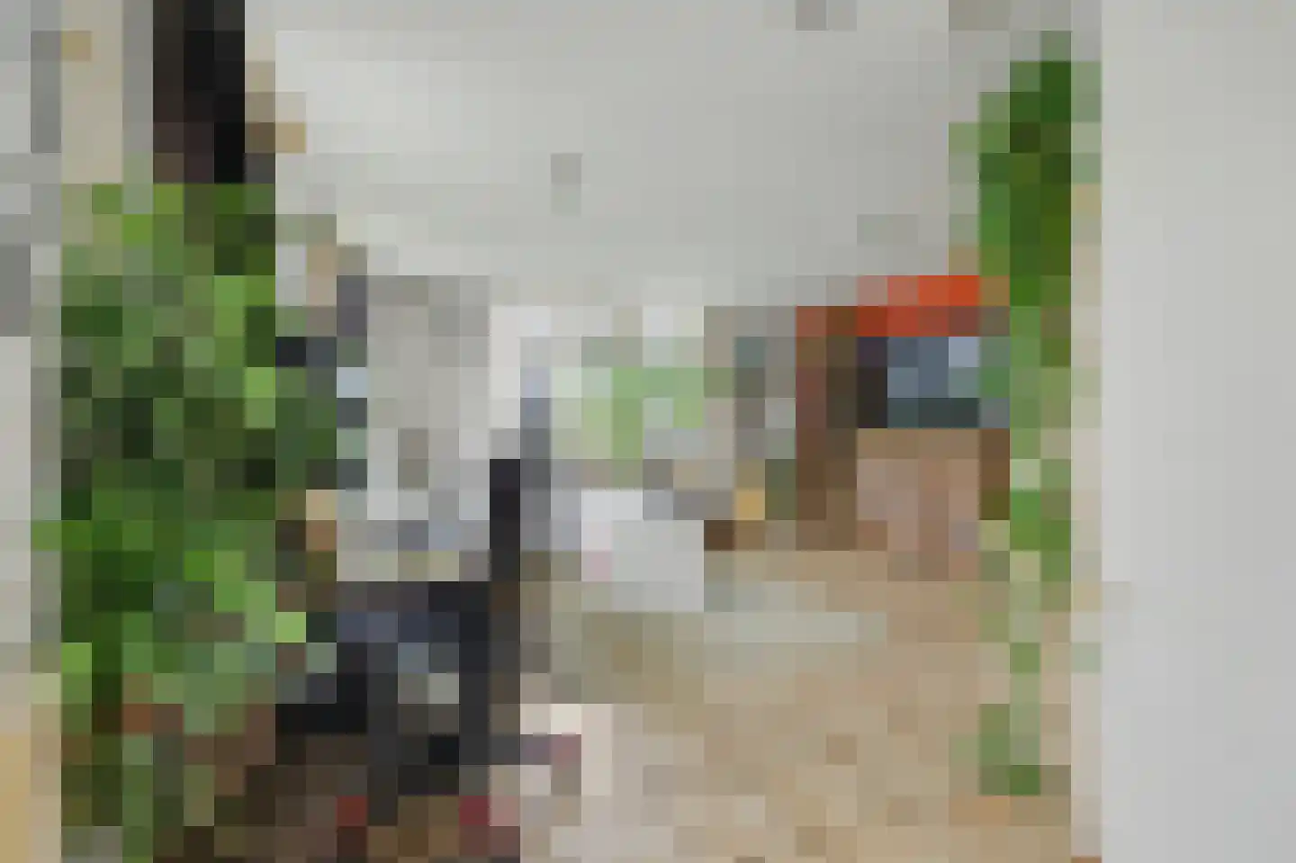 Dwarsweg 3 's-Heer Arendskerke thumbnail 7