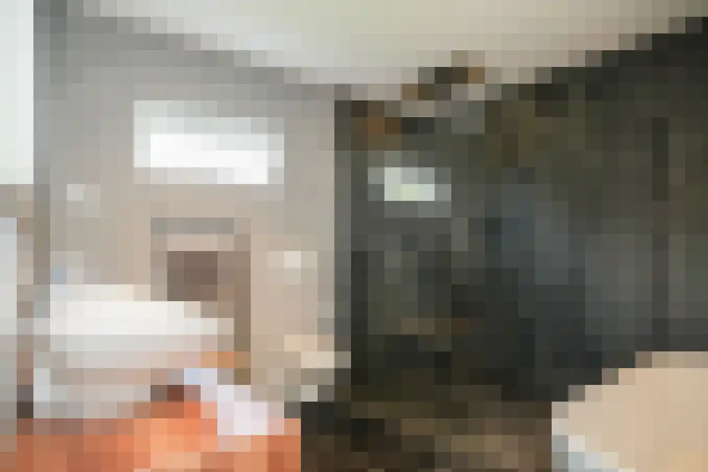 Dwarsweg 3 Vuren thumbnail 30