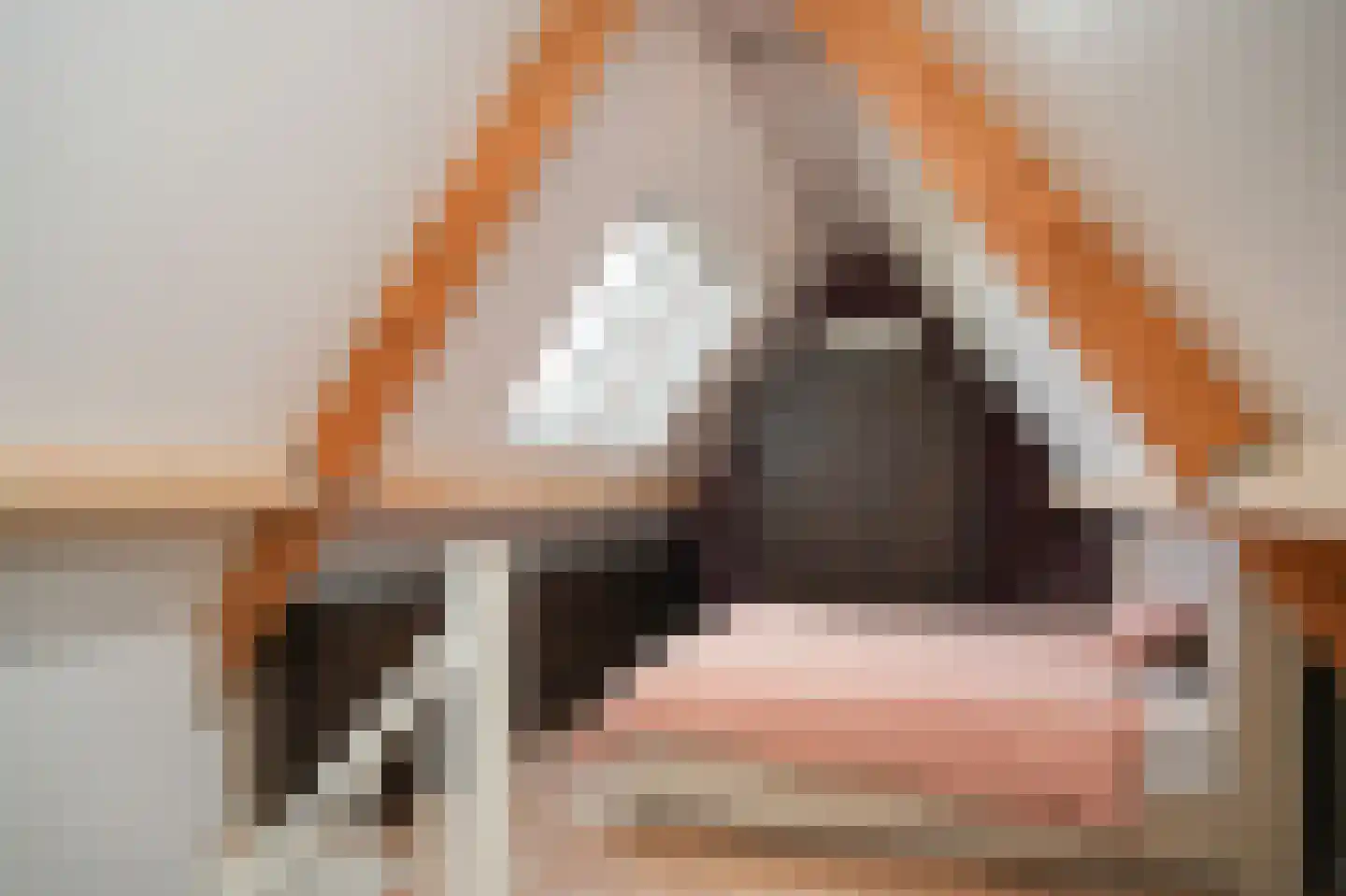 Dwarsweg 3 Vuren thumbnail 46