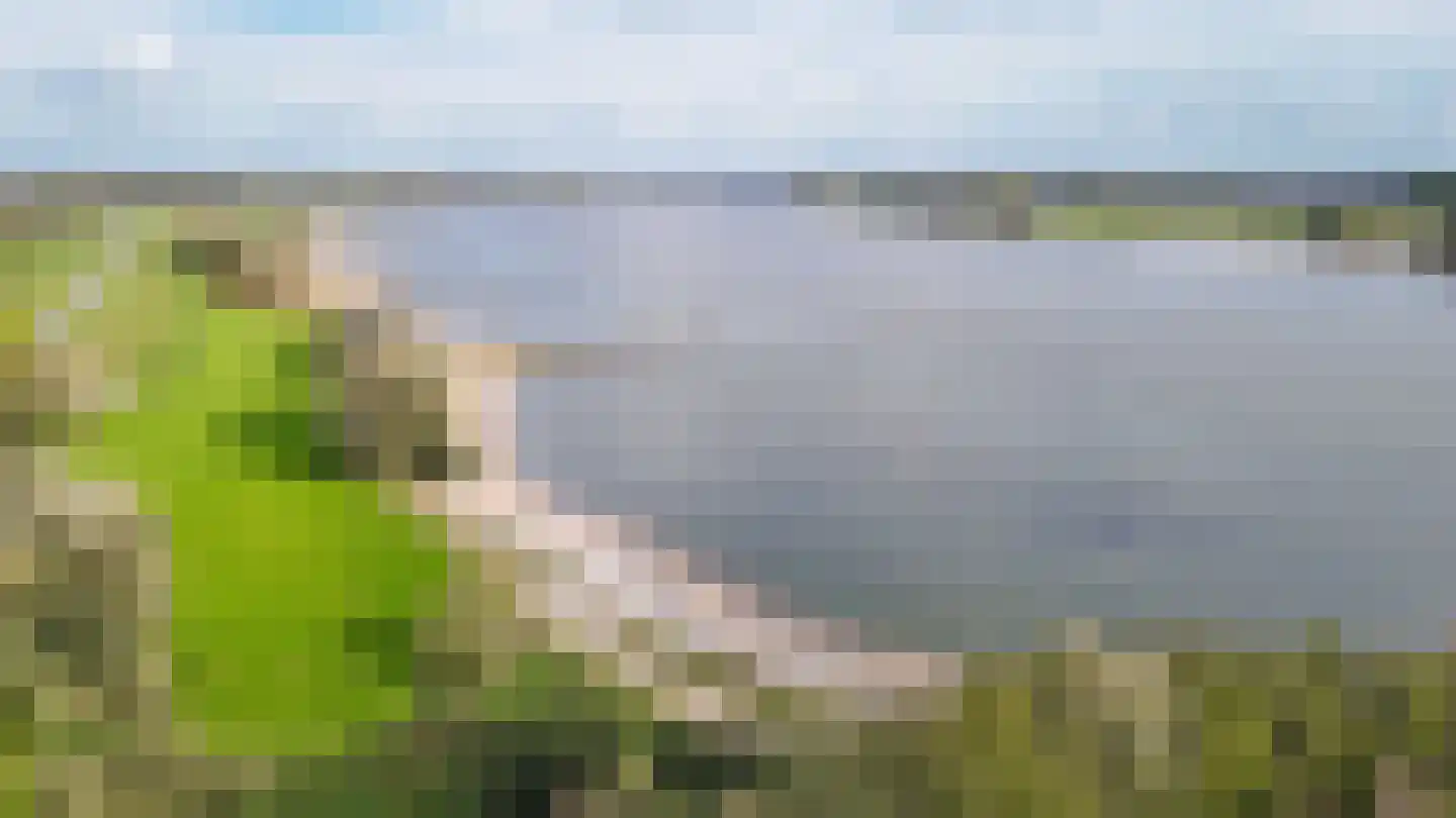Dwarsweg 3 Vuren thumbnail 8