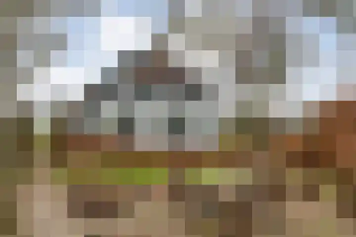 Dwarsweg 4 in Nijensleek
