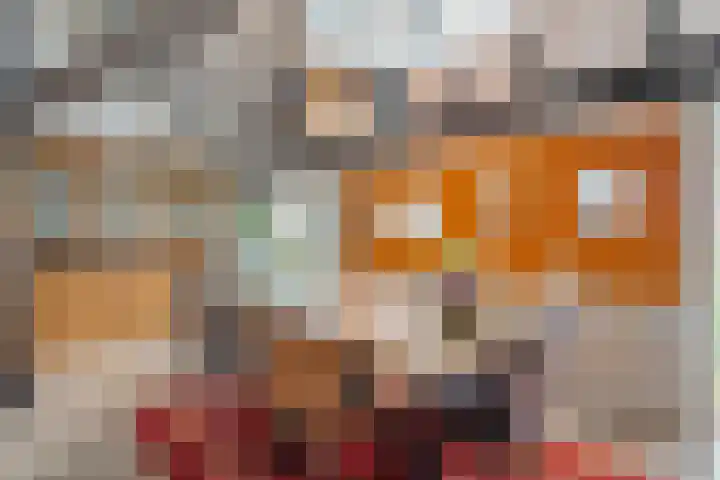 Dwarsweg 4 Nijensleek thumbnail 10