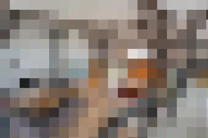 Dwarsweg 4 Nijensleek thumbnail 12