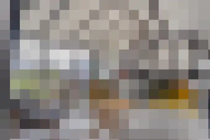 Dwarsweg 4 Nijensleek thumbnail 14