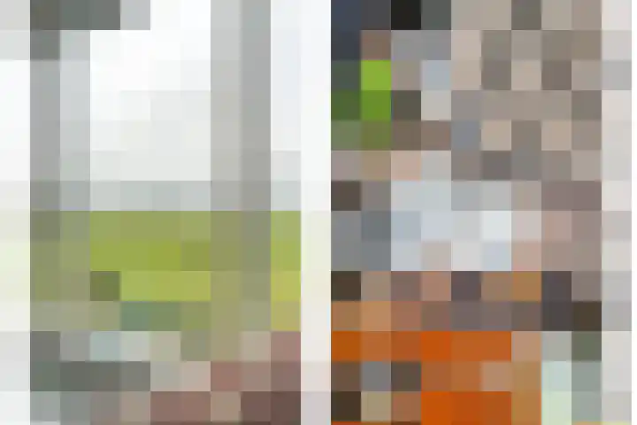 Dwarsweg 4 Nijensleek thumbnail 15