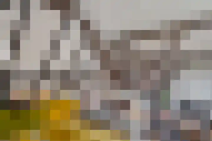 Dwarsweg 4 Nijensleek thumbnail 16