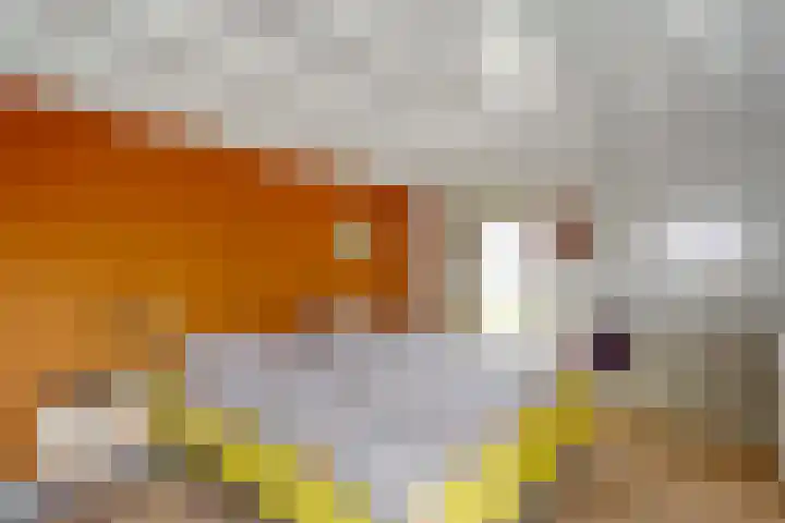 Dwarsweg 4 Nijensleek thumbnail 17