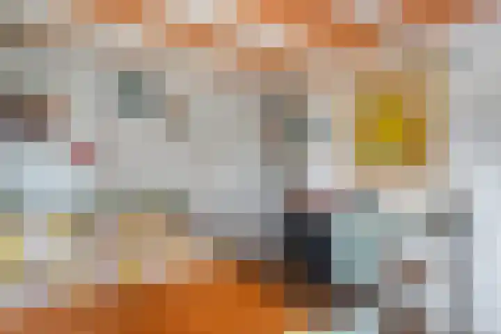 Dwarsweg 4 Nijensleek thumbnail 20