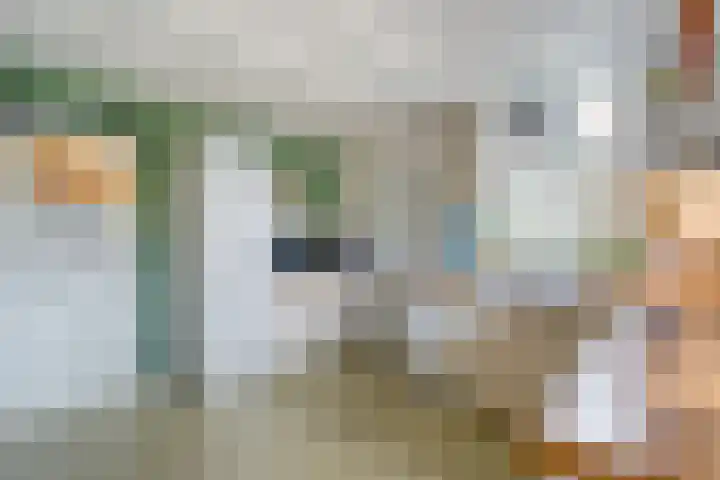 Dwarsweg 4 Nijensleek thumbnail 22