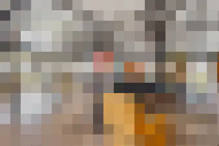 Dwarsweg 4 Nijensleek foto 3