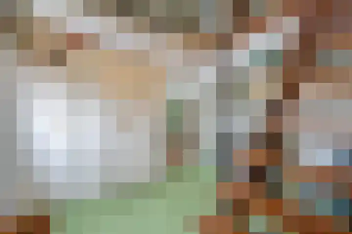 Dwarsweg 4 Nijensleek thumbnail 35