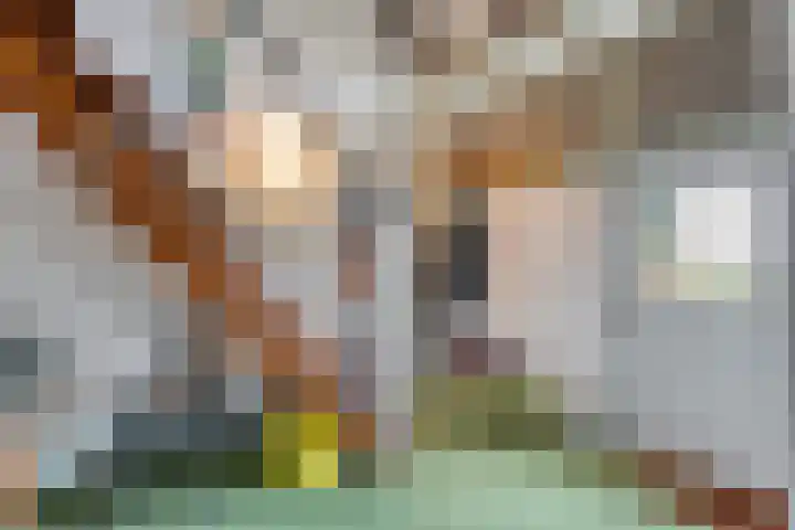 Dwarsweg 4 Nijensleek thumbnail 36