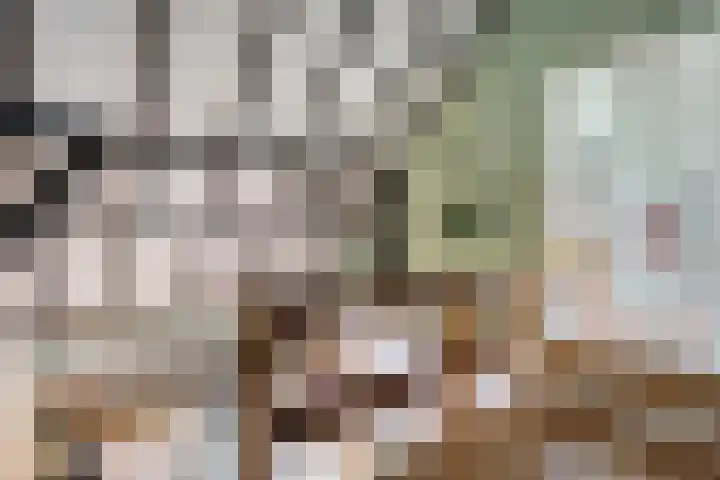 Dwarsweg 4 Nijensleek thumbnail 38