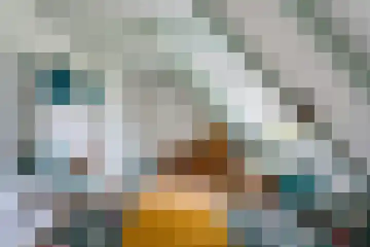 Dwarsweg 4 Nijensleek thumbnail 40