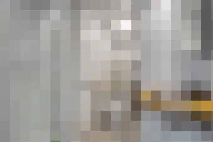 Dwarsweg 4 Nijensleek thumbnail 43