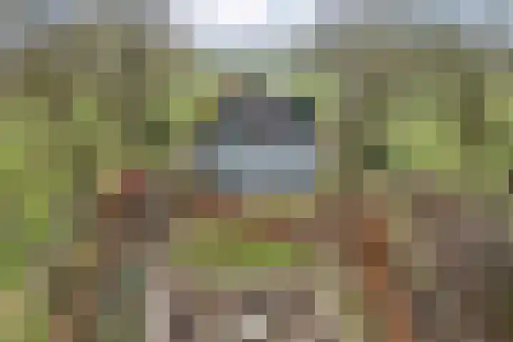 Dwarsweg 4 Nijensleek thumbnail 46