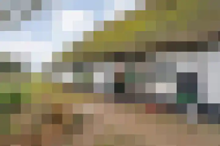 Dwarsweg 4 Nijensleek thumbnail 48
